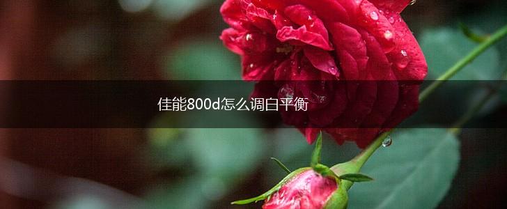 佳能800d怎么调白平衡,第1张