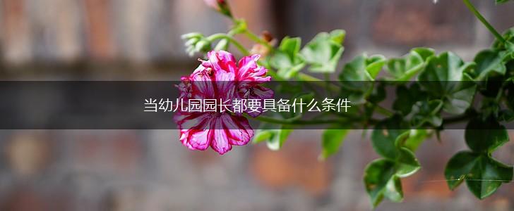 当幼儿园园长都要具备什么条件,第1张