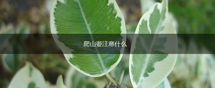 爬山要注意什么,第1张