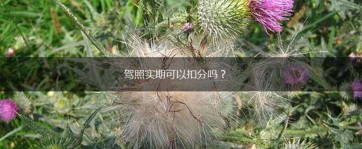 驾照实期可以扣分吗？,第1张
