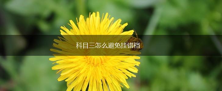 科目三怎么避免挂错档,第1张