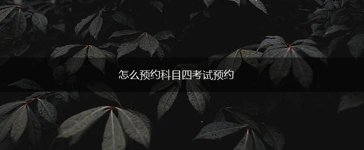 怎么预约科目四考试预约,第1张