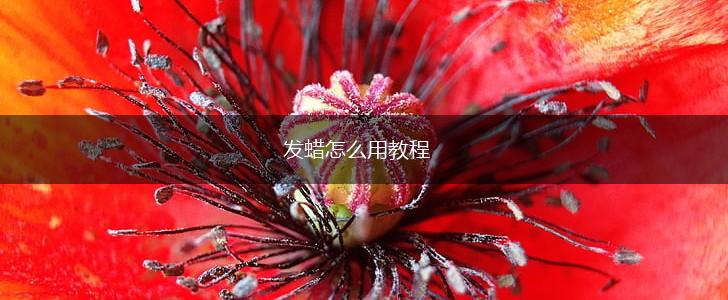 发蜡怎么用教程,第1张