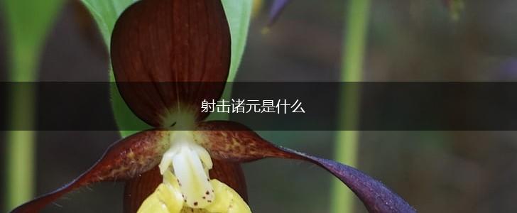 射击诸元是什么,第1张
