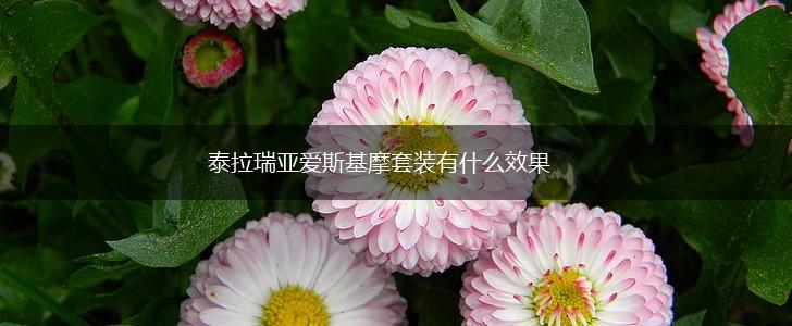 泰拉瑞亚爱斯基摩套装有什么效果,第1张 泰拉瑞亚爱斯基摩套装有什么效果,第1张
