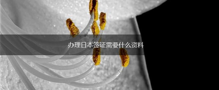 办理日本签证需要什么资料,第1张