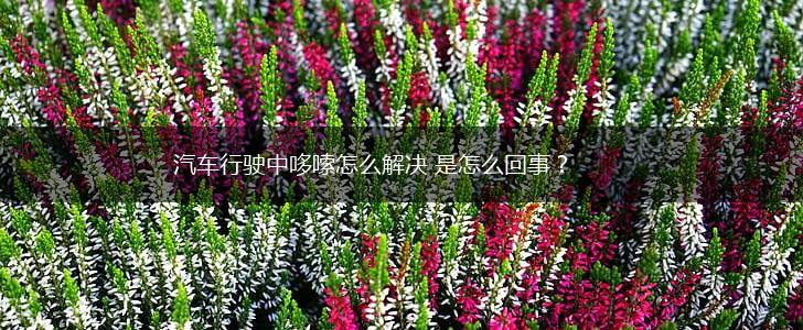 汽车行驶中哆嗦怎么解决 是怎么回事？,第1张