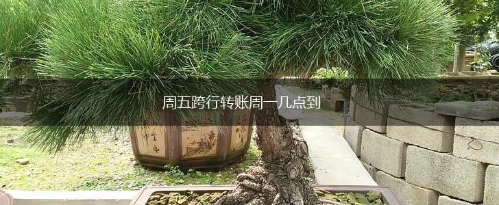 周五跨行转账周一几点到,第1张