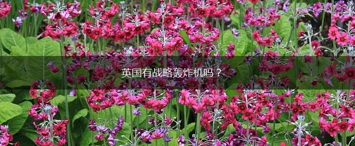 英国有战略轰炸机吗？,第1张