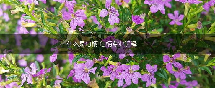 什么是句柄 句柄专业解释,第1张