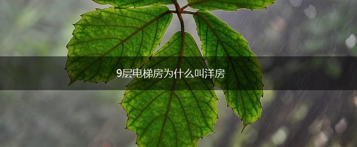 9层电梯房为什么叫洋房,第1张