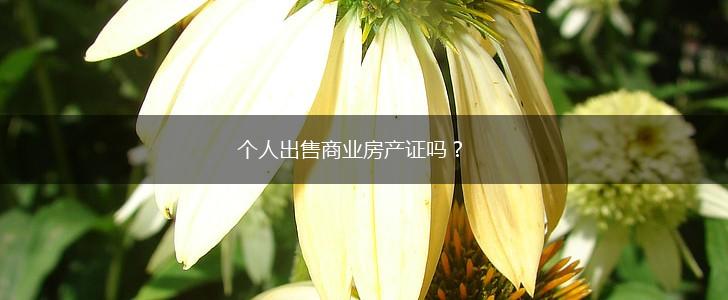 个人出售商业房产证吗？,第1张