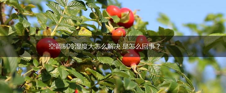 空调制冷湿度大怎么解决 是怎么回事？,第1张