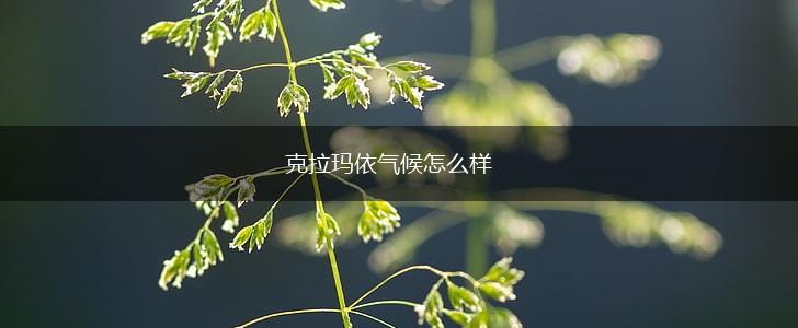 克拉玛依气候怎么样,第1张