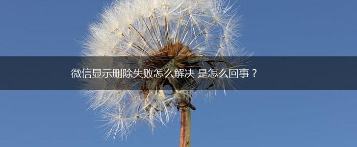 微信显示删除失败怎么解决 是怎么回事？,第1张