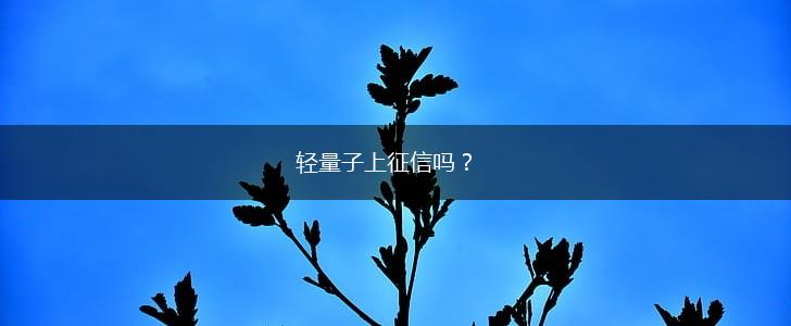 轻量子上征信吗？,第1张