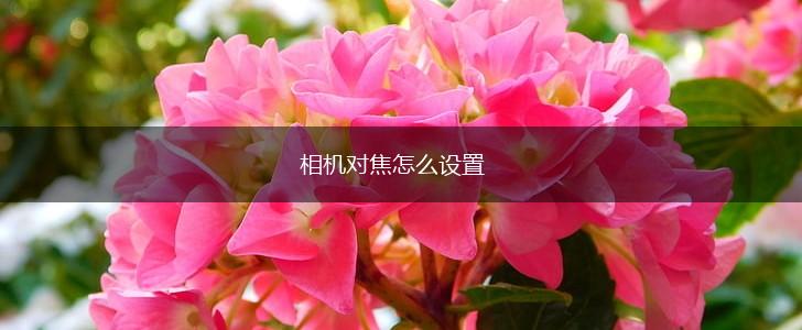 相机对焦怎么设置,第1张