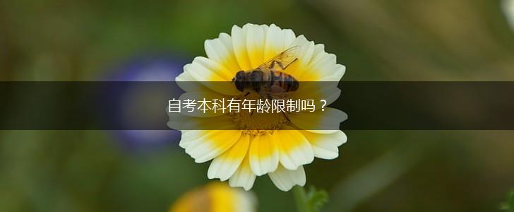 自考本科有年龄限制吗？,第1张