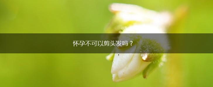 怀孕不可以剪头发吗？,第1张