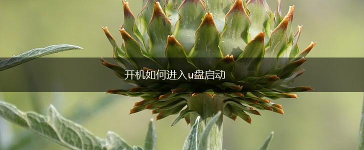 开机如何进入u盘启动,第1张