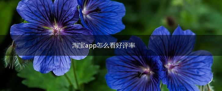 淘宝app怎么看好评率,第1张