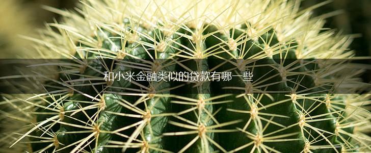 和小米金融类似的贷款有哪一些,第1张