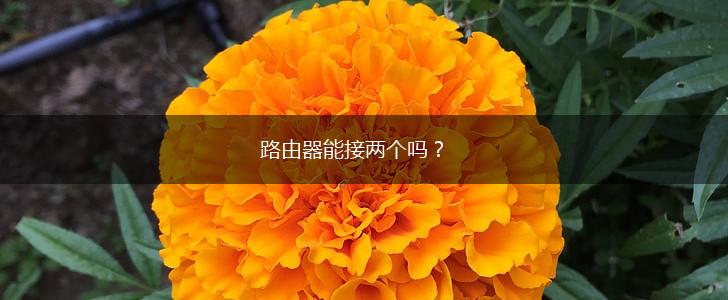 路由器能接两个吗？,第1张
