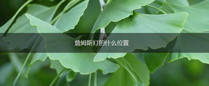 詹姆斯打的什么位置,第1张
