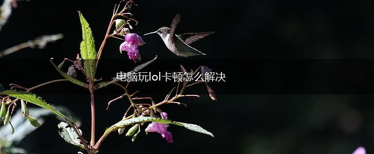 电脑玩lol卡顿怎么解决,第1张
