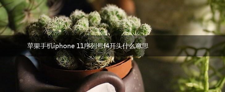 苹果手机iphone 11序列号f4开头什么意思,第1张