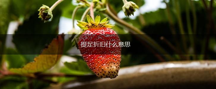 提足折旧什么意思,第1张