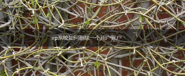 xp系统如何删除一个用户账户,第1张