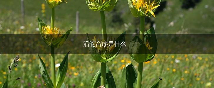 沿的音序是什么,第1张
