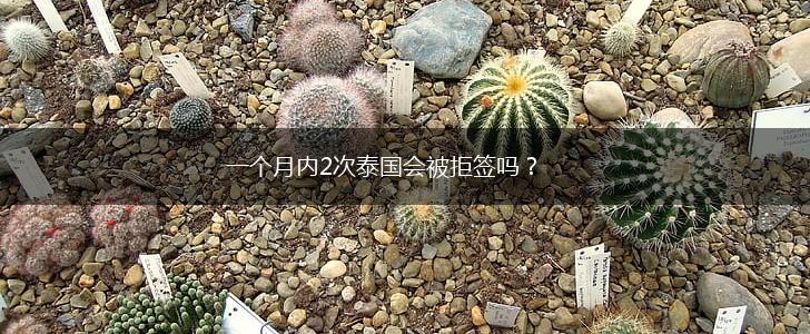 一个月内2次泰国会被拒签吗?,第1张 一个月内2次泰国会被拒签吗?,第1张