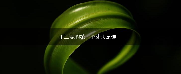 王二妮的第一个丈夫是谁,第1张