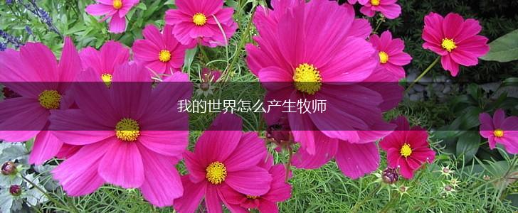 我的世界怎么产生牧师,第1张