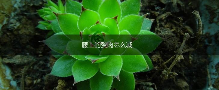腰上的赘肉怎么减,第1张