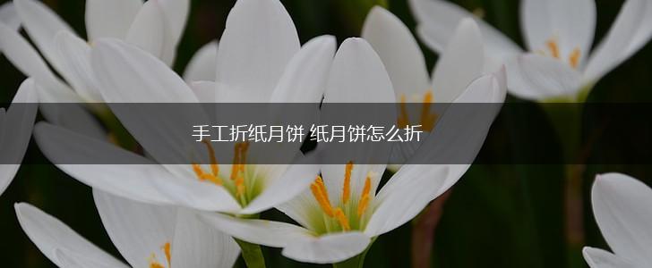 手工折纸月饼 纸月饼怎么折,第1张 手工折纸月饼 纸月饼怎么折,第1张