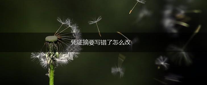 凭证摘要写错了怎么改,第1张