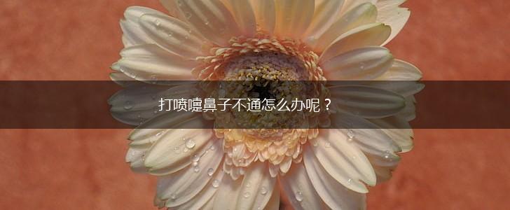 打喷嚏鼻子不通怎么办呢?,第1张 打喷嚏鼻子不通怎么办呢?,第1张