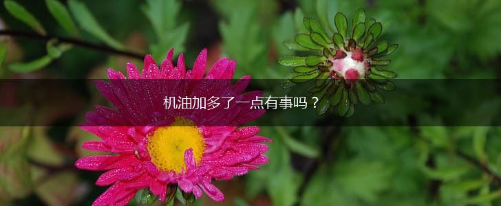 机油加多了一点有事吗？,第1张