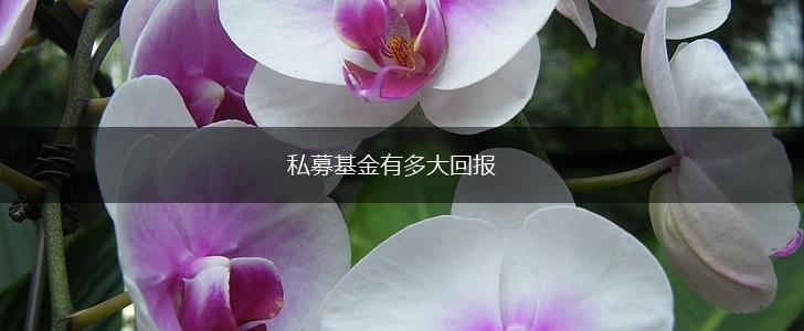 私募基金有多大回报,第1张