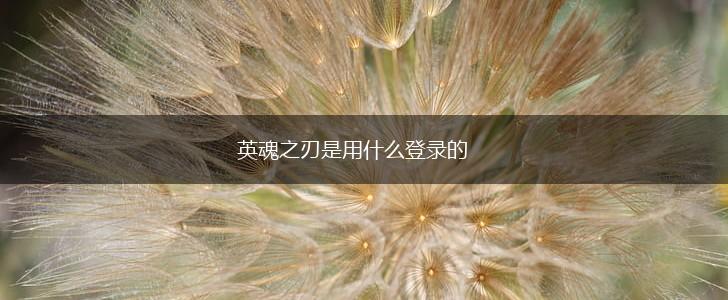 英魂之刃是用什么登录的,第1张