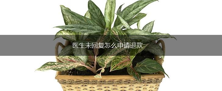 医生未回复怎么申请退款,第1张