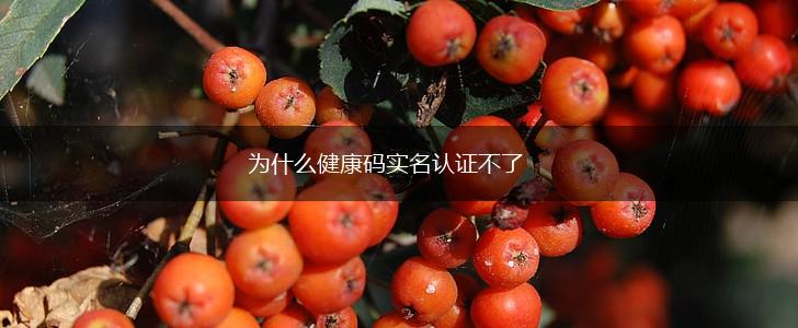 为什么健康码实名认证不了,第1张