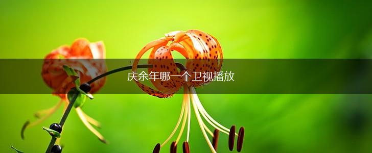 庆余年哪一个卫视播放,第1张