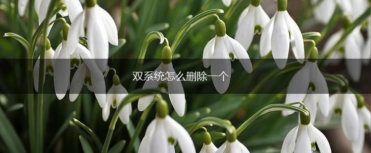 双系统怎么删除一个,第1张