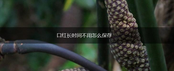 口红长时间不用怎么保存,第1张