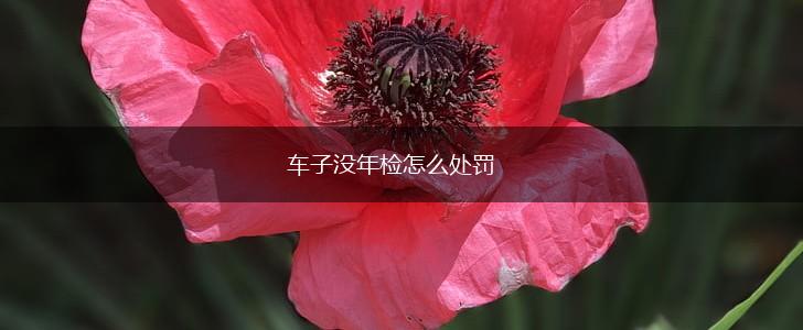 车子没年检怎么处罚,第1张