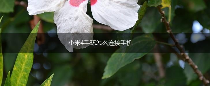 小米4手环怎么连接手机,第1张 小米4手环怎么连接手机,第1张